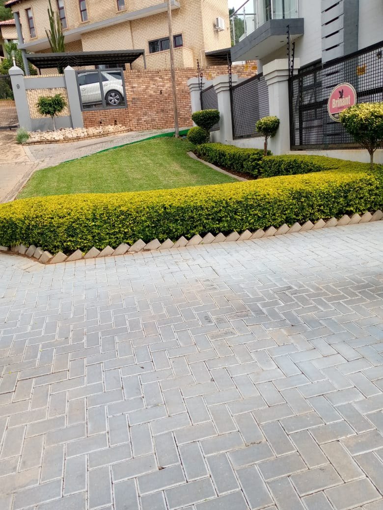 A sharply trimmed hedge edging a paved driveway