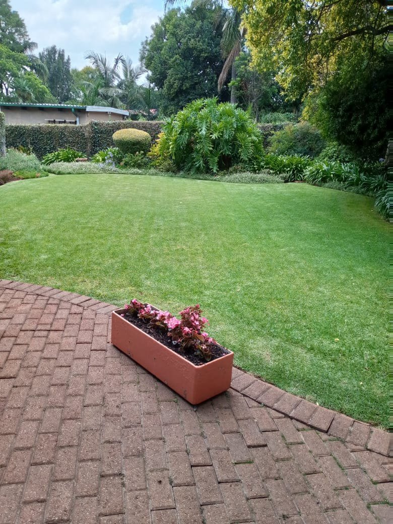 A brick garden path beside a mown lawn with planted borders